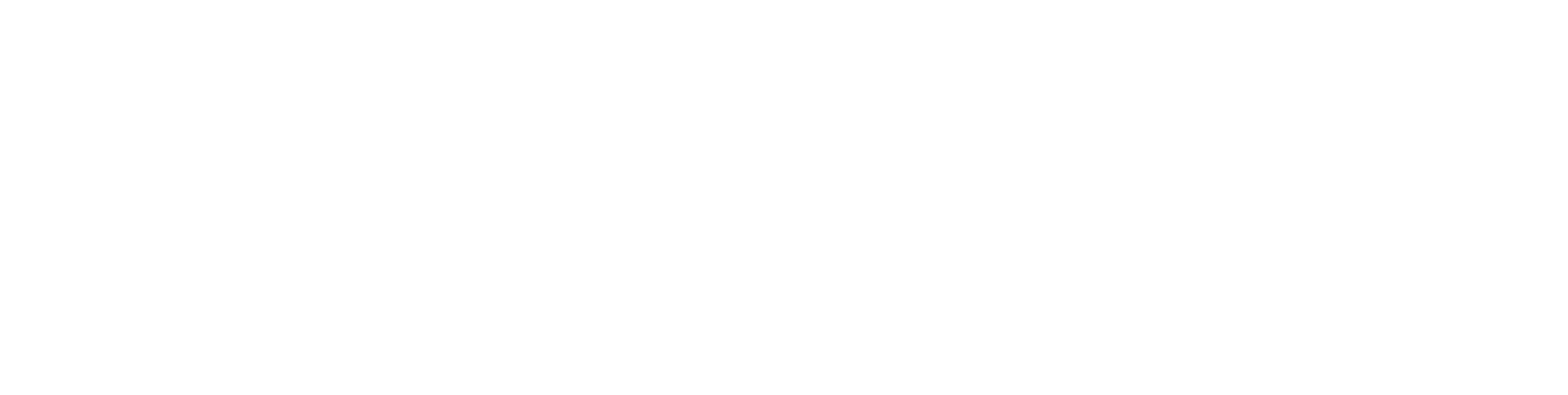 Nexus Core Systems Logo